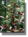 Copper magnolia tree fountain close-up