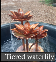 Tiered waterlily