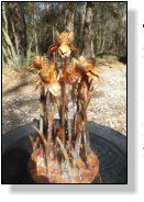 Copper iris dripping fountain