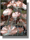 Testing of copper Lotus fountain destined for Sarasota, Florida
